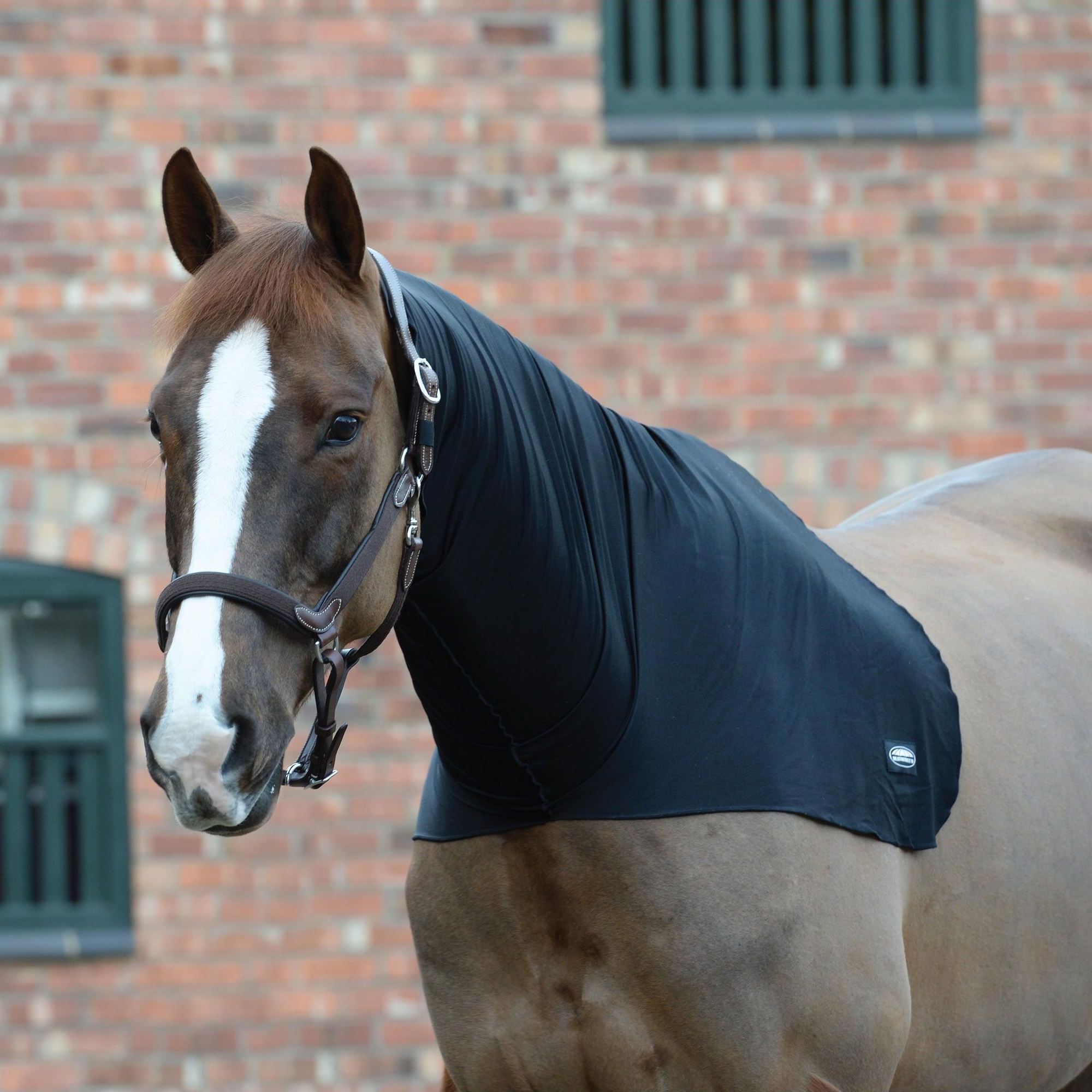 Weatherbeeta Stretch Neck Rug Black